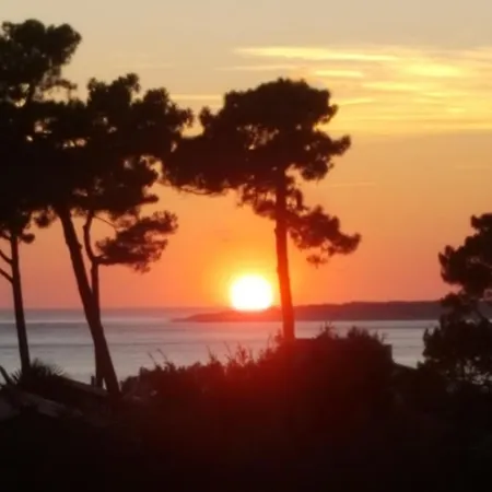 Chambre d’hôtes Pyla sur Mer-3